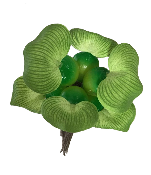 GEX η_01.jpg