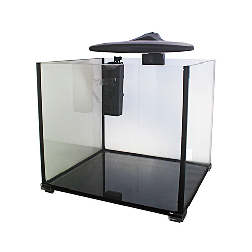 ťCC-30.jpg