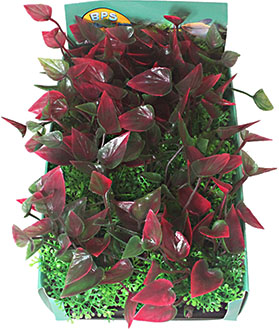 BPS-6879_10.JPG